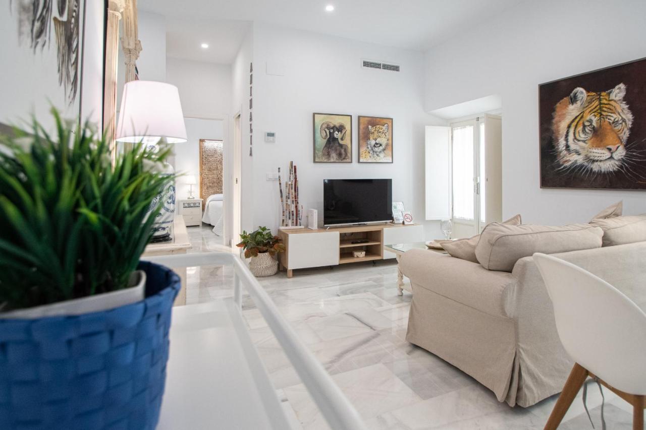 Apartamento Animalia Cadiz Dış mekan fotoğraf