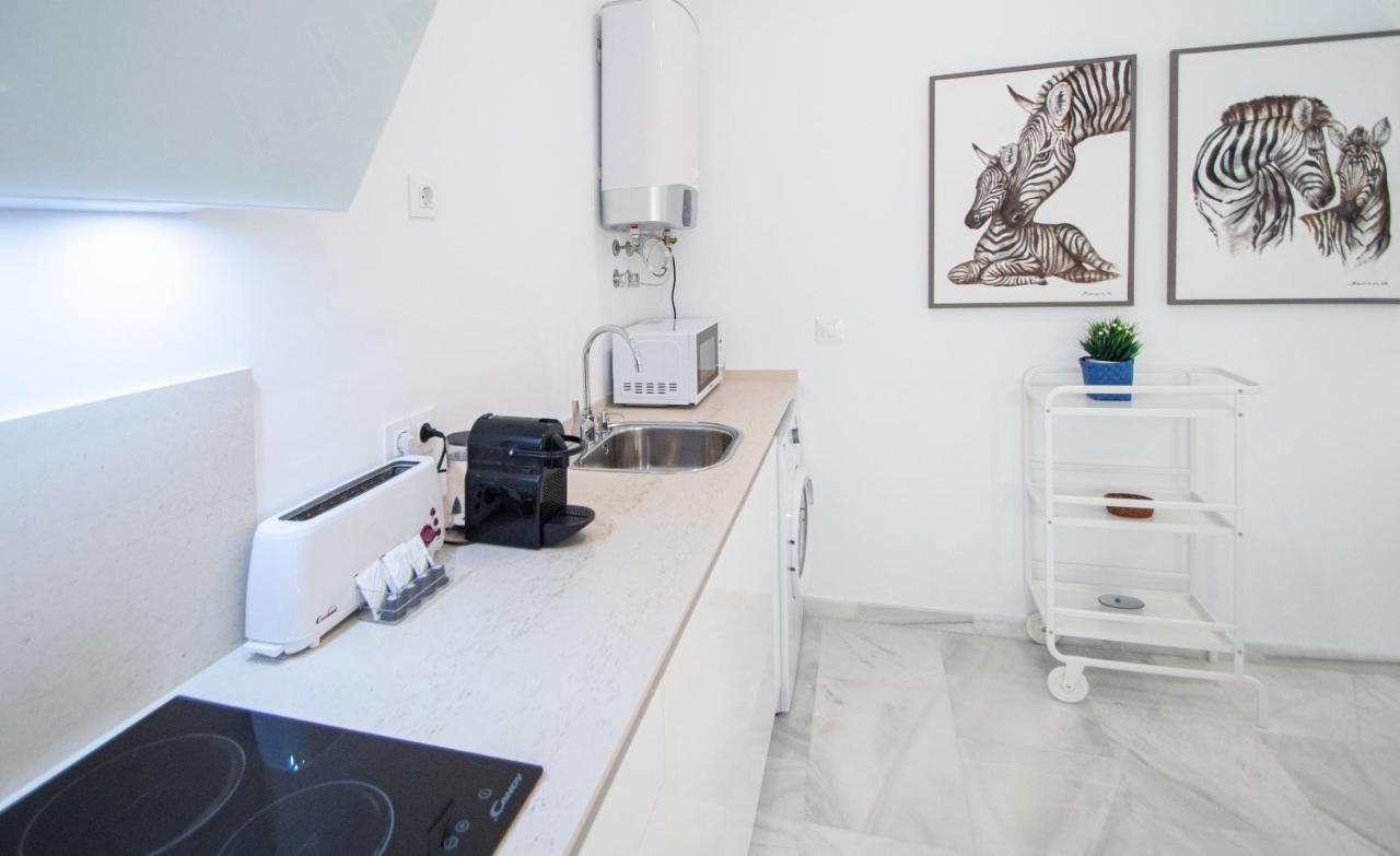Apartamento Animalia Cadiz Dış mekan fotoğraf