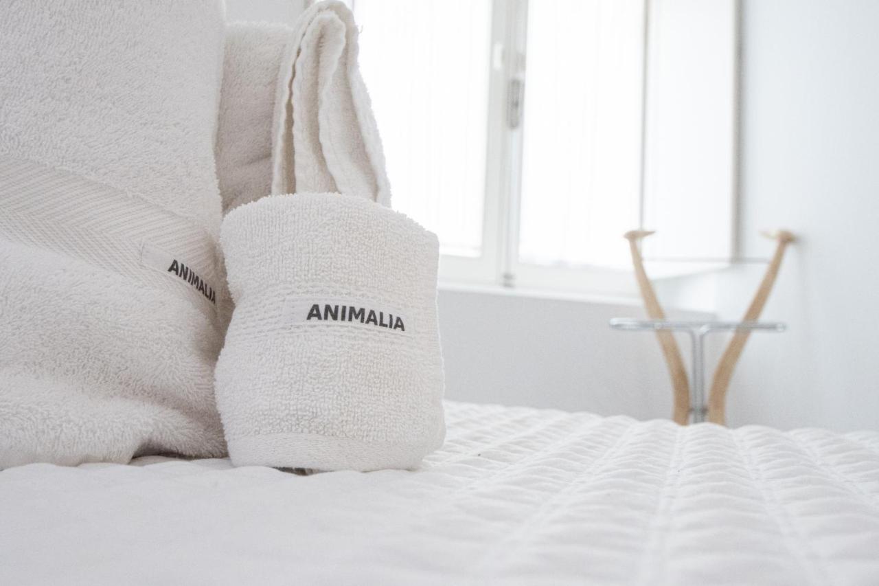 Apartamento Animalia Cadiz Dış mekan fotoğraf
