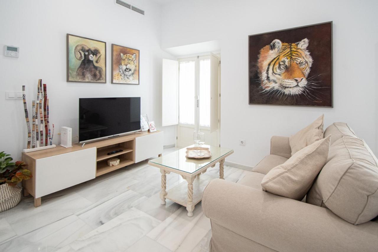 Apartamento Animalia Cadiz Dış mekan fotoğraf