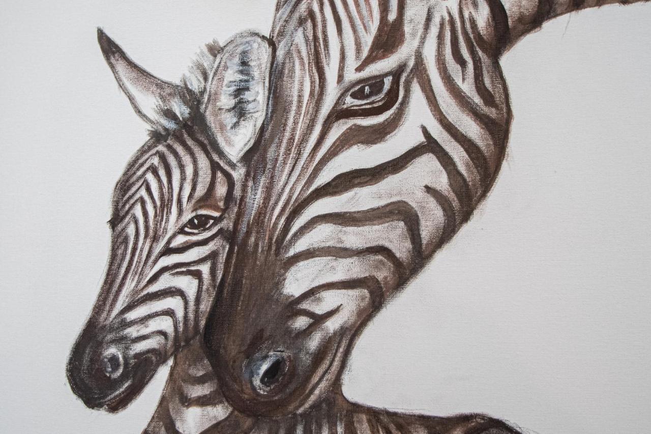 Apartamento Animalia Cadiz Dış mekan fotoğraf